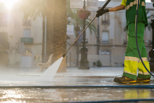 Best Roof Cleaning and Mildew Removal in Lutcher, LA